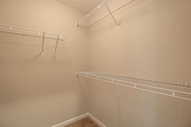 Building Photo - 1303 Windrow Dr