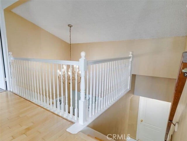 Building Photo - 3863 Cazador St