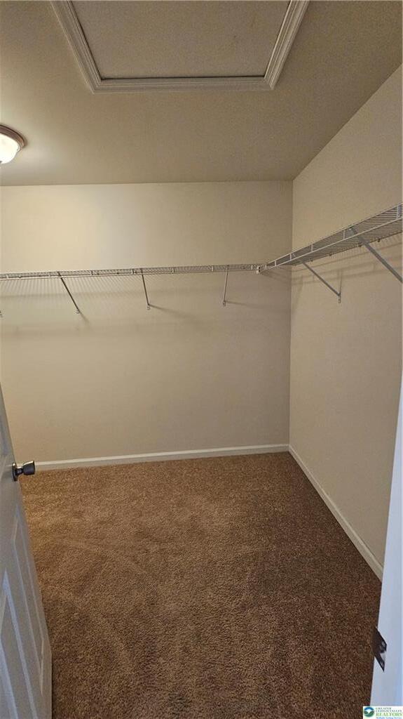 Building Photo - 1462 Black Forest Dr
