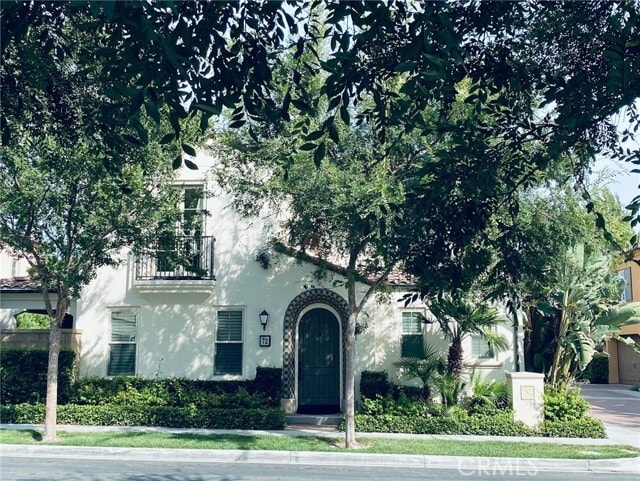 Primary Photo - 72 Maple Ash