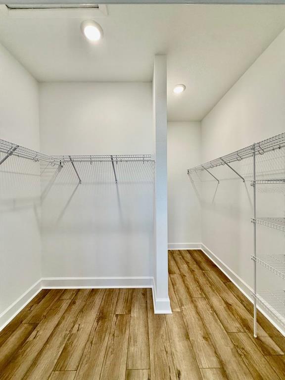 Building Photo - 2031 Wild Heron Ct