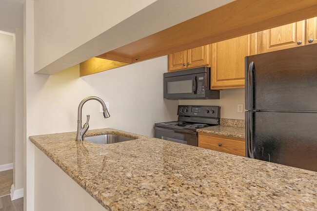 Building Photo - Beautiful 1 Bed 1 Bath near Moses Cone and...