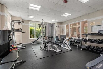 Building Photo - Sunny large 1 bedroom 1 bath condo