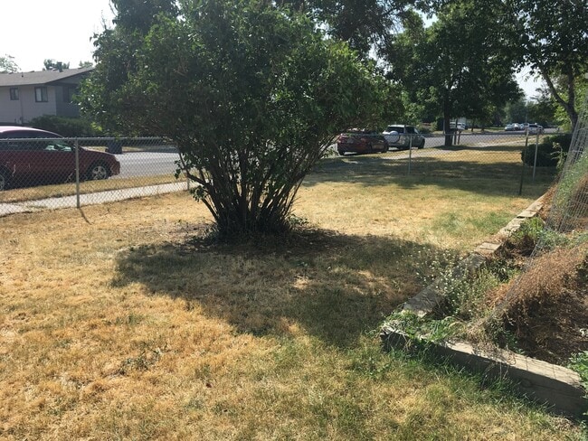 Building Photo - 3 Bedroom 1 Bathroom Duplex