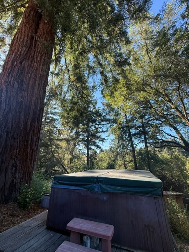 Building Photo - Showing Sunday, 8/2/2026 @ 4:30pm by Appt.  Welcome Home to Coleman Valley Rd Occidental