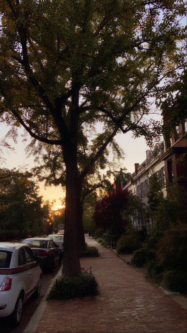 Building Photo - Charming Home Right Across From Montrose Park