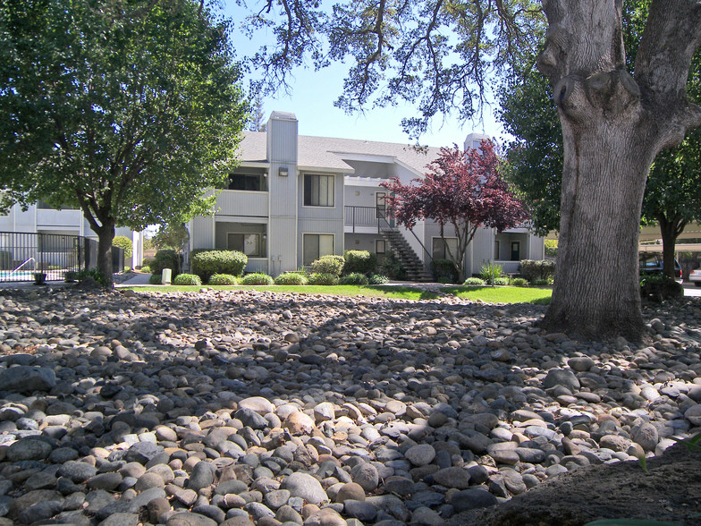 Building Photo - Springview Oaks Apartments