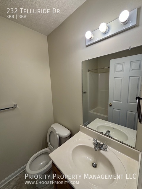 Building Photo - 232 Telluride Drive