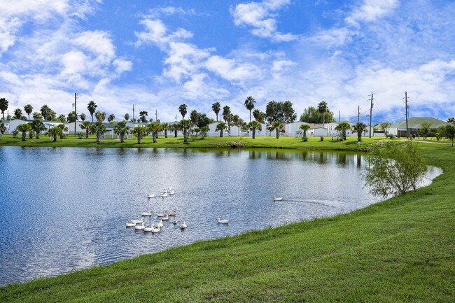 Building Photo - 5040 St Kitts Calle St