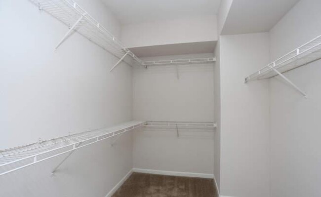 Building Photo - 1 bedroom in Houston TX 77095