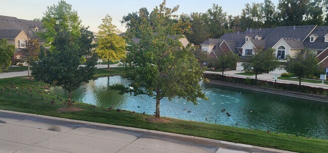 Building Photo - 7869 Ambassador Dr