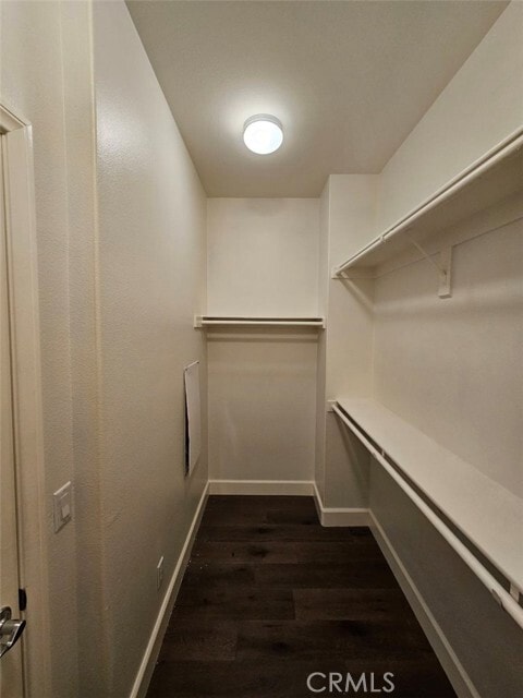 Building Photo - 35 Courant