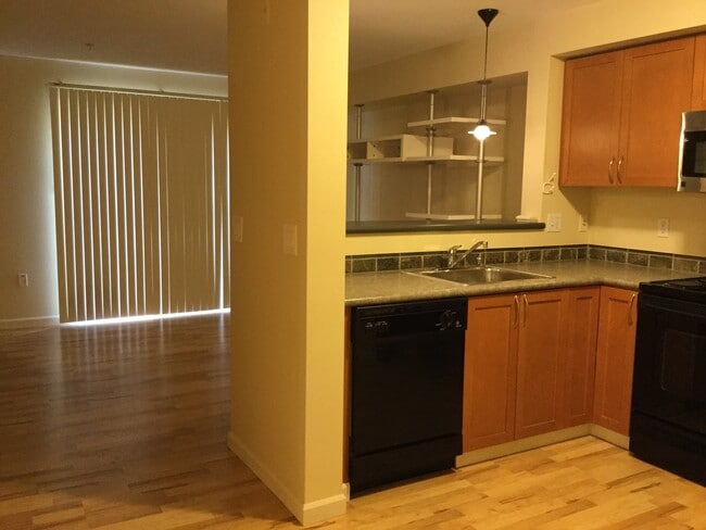 Building Photo - Beautiful Studio in Downtown Bellevue!