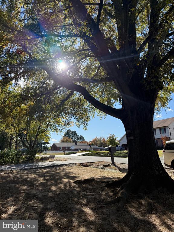 Building Photo - 8 English Oak Cir