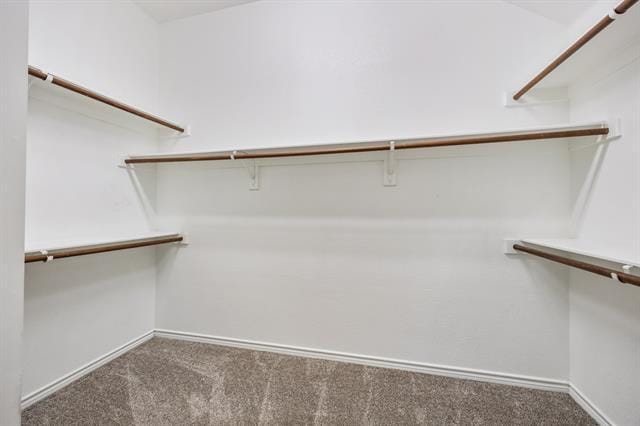 Building Photo - 8100 Twin Oaks Dr