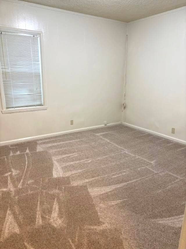 Building Photo - 279 Medford Ave