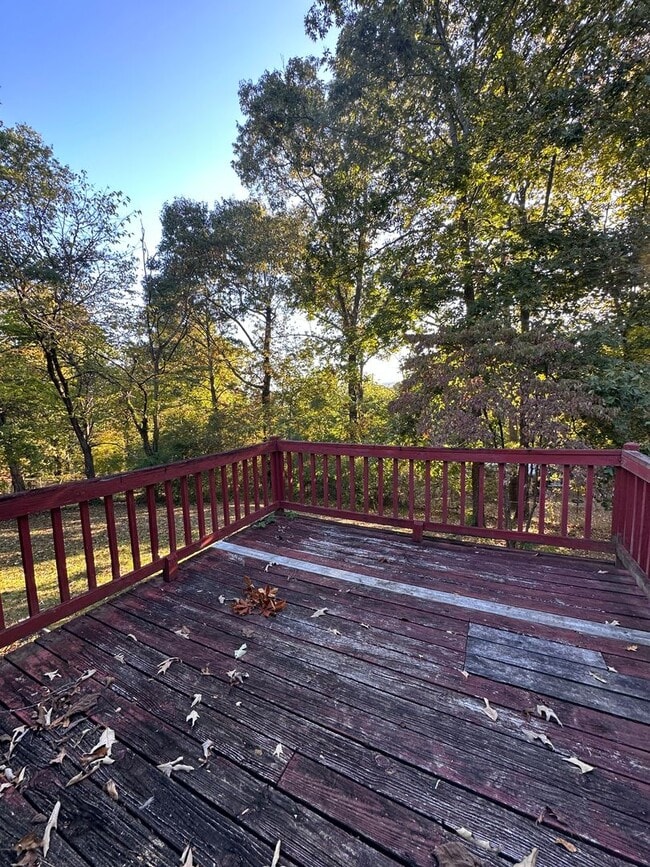 Building Photo - 5013 Buggy Ln