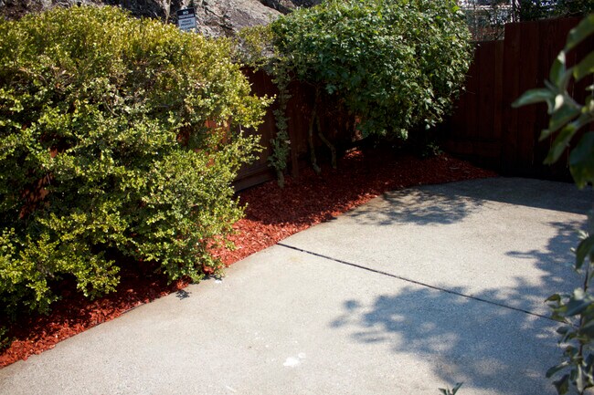 Building Photo - 119 Jewell Ct