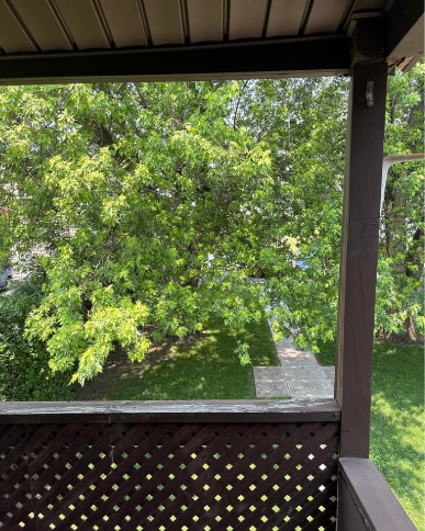 Building Photo - 1017 Main St