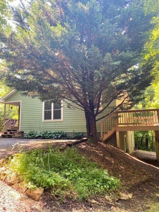 Building Photo - Peaceful Black Mountain Cottage