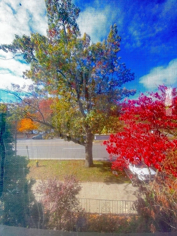 Building Photo - 70 Jamaicaway