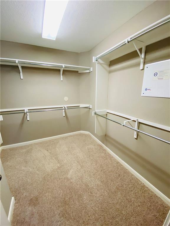 Building Photo - 561 Golden Creek Dr