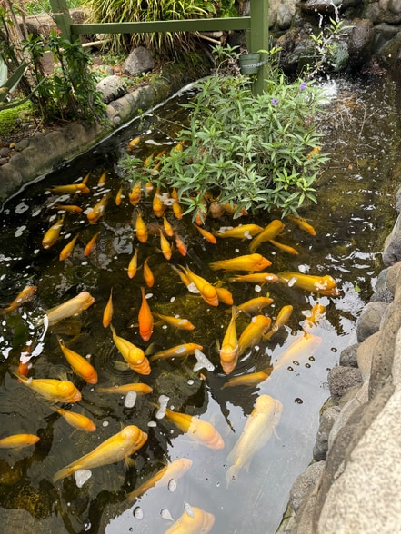 Building Photo - 111 Kahului Beach Rd