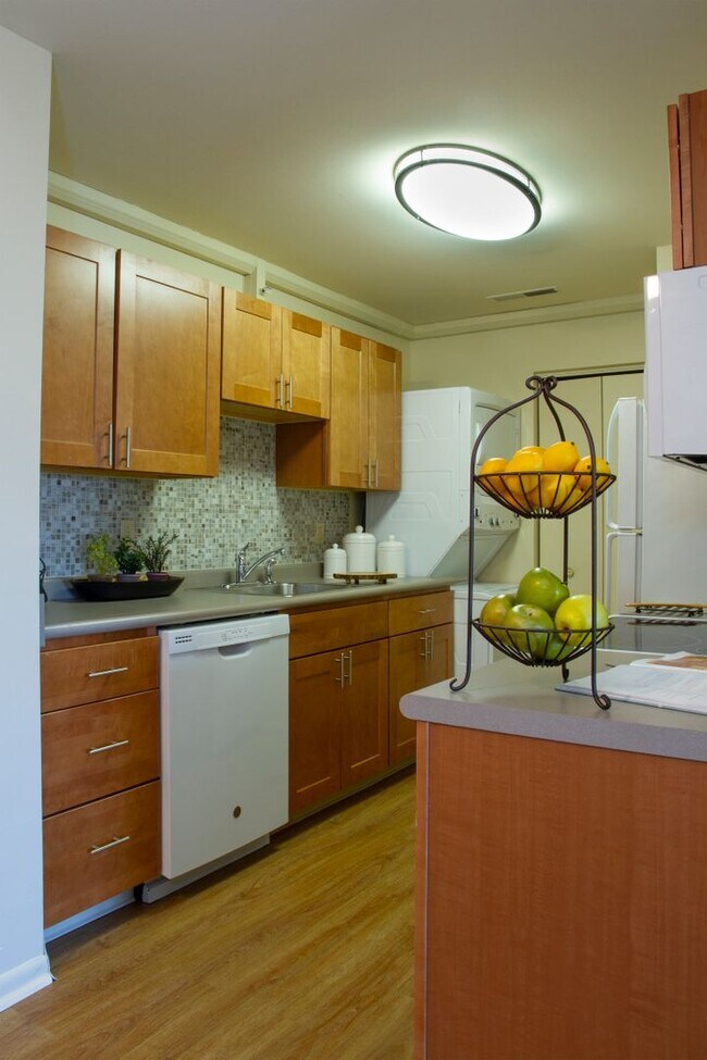 Building Photo - Fully Furnished Contemporary One Bedroom A...