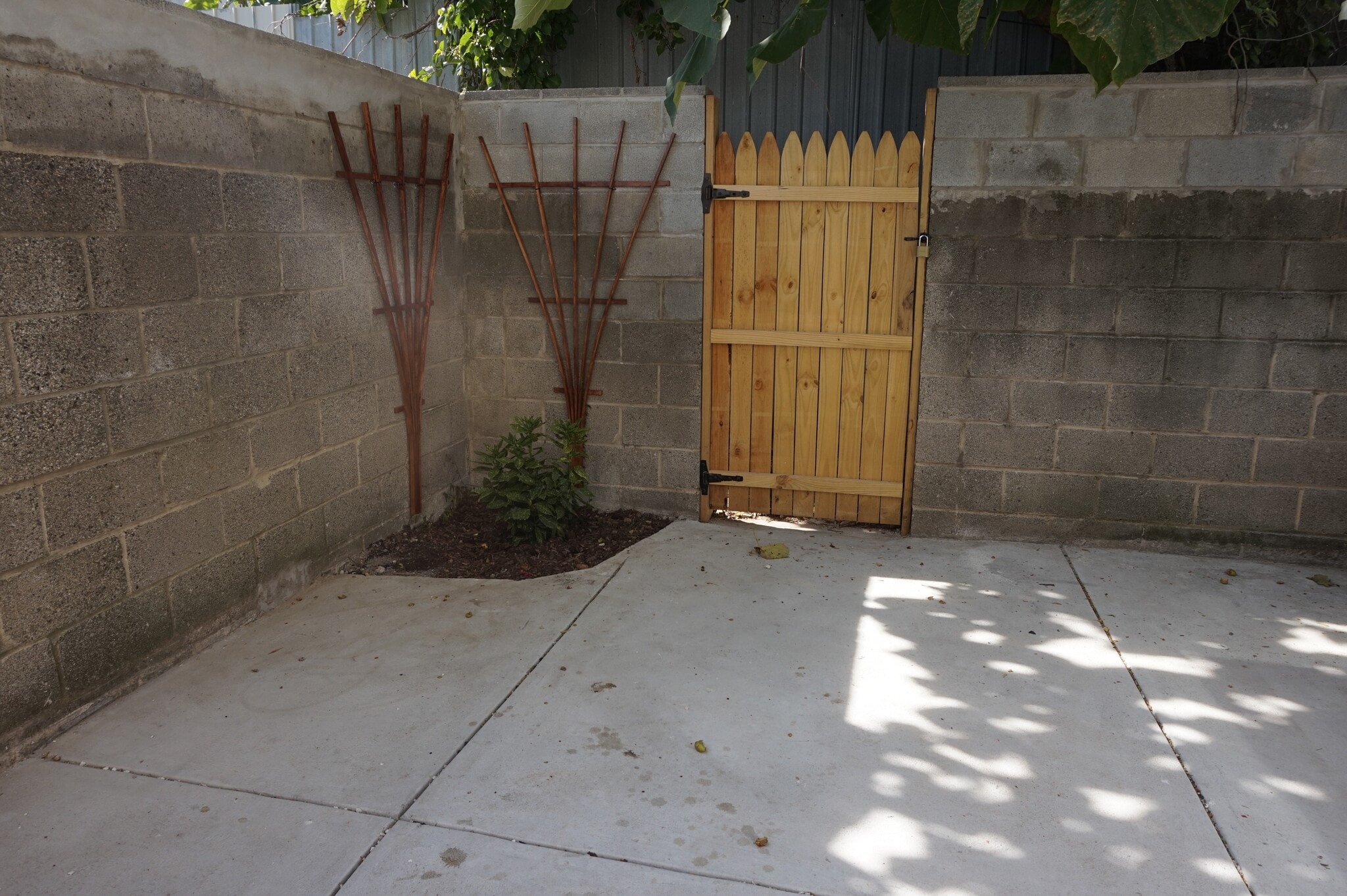 Large Yard - 1138 S 24th St