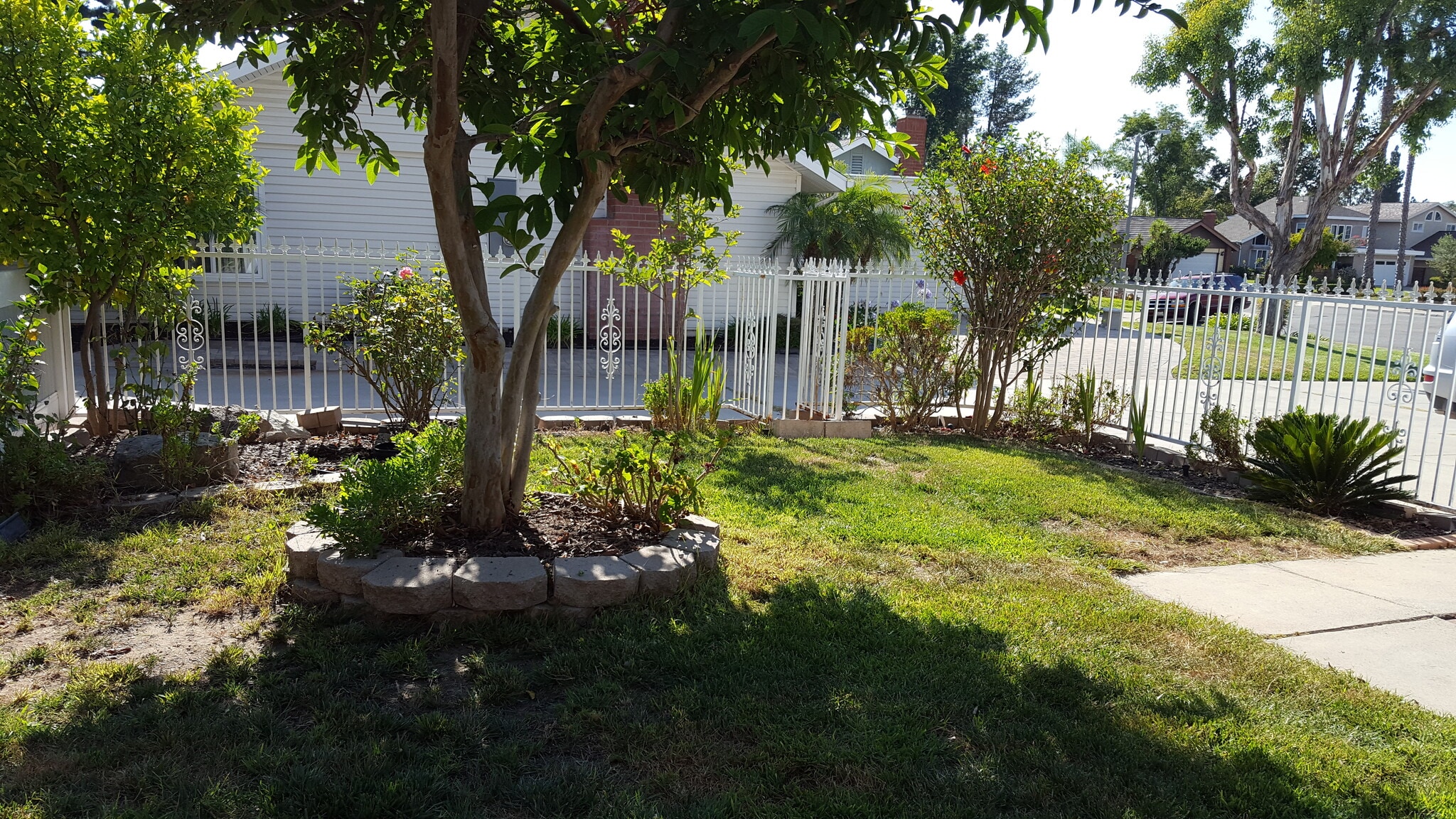 Front yard - 23662 Verona