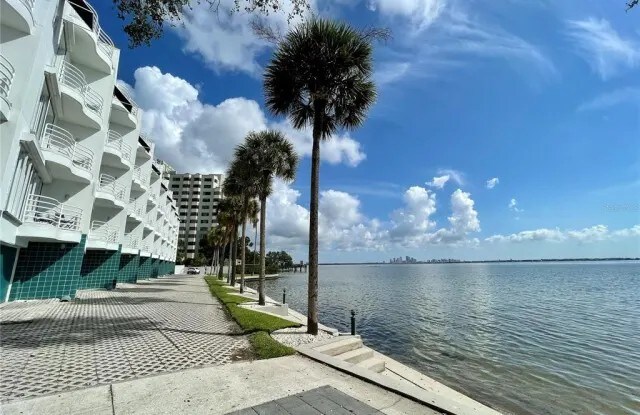 Waterfront view of the building - 4950 Bayshore Blvd