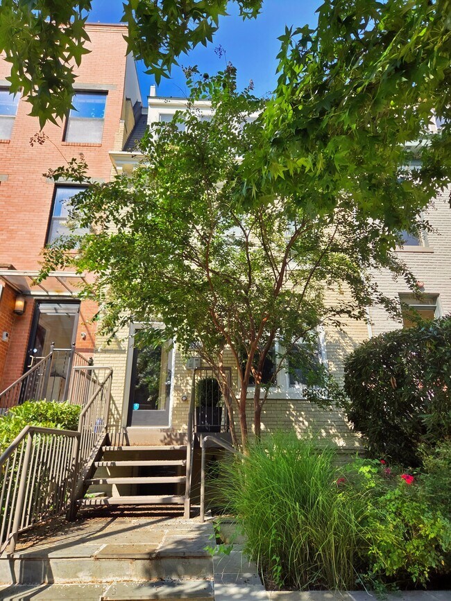 Building Photo - 2446 Ontario Rd NW