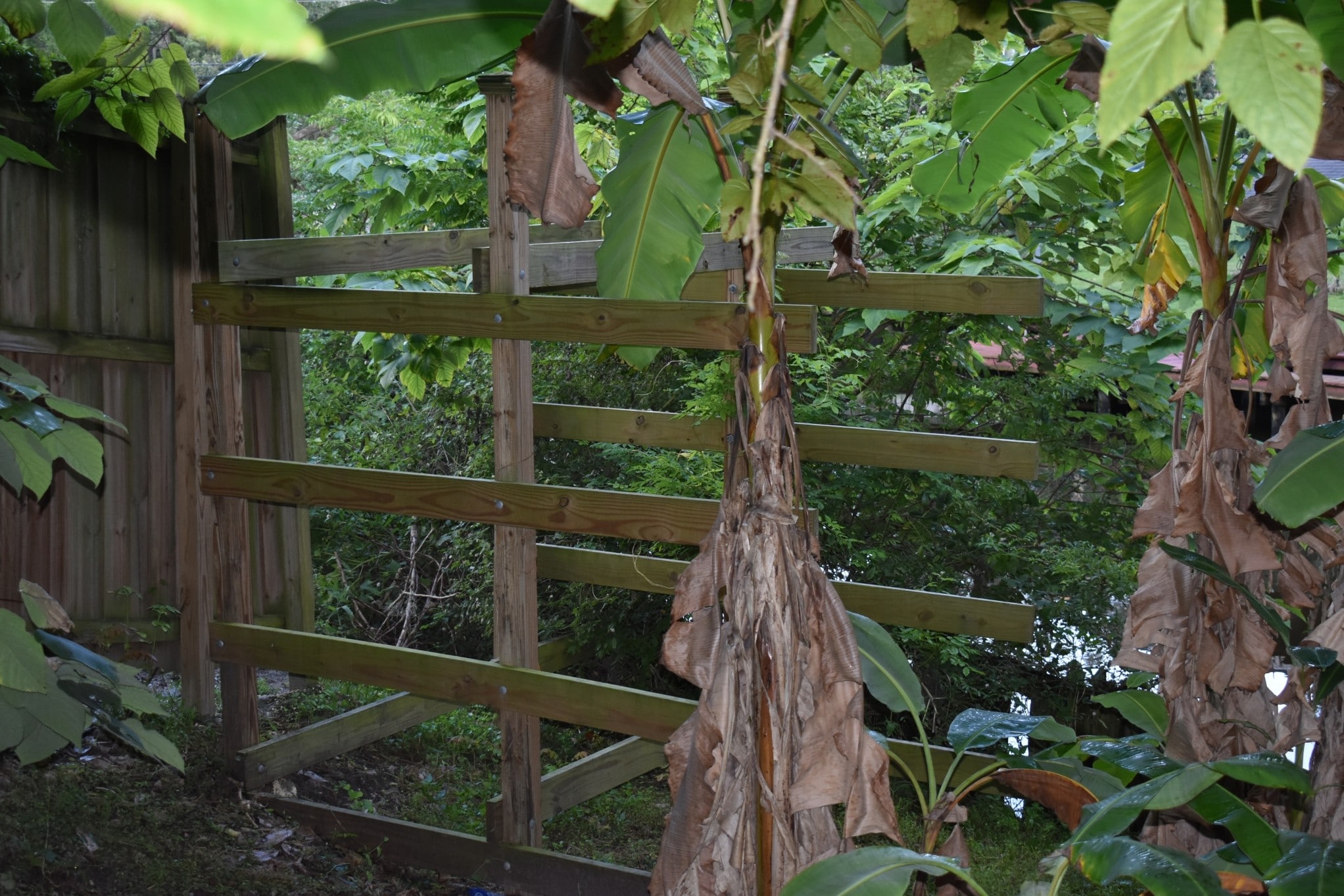 Kayak Storage - 4836 Atlantic Blvd