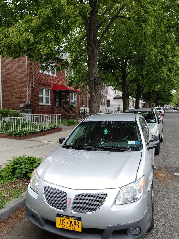 Tree lined Street - 4137 Boyd Ave