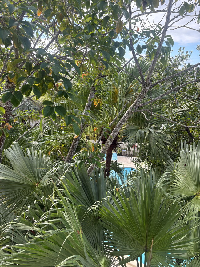 Building Photo - 7707 Camino Real