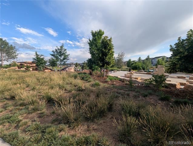 Building Photo - 6109 Zebulon Pl