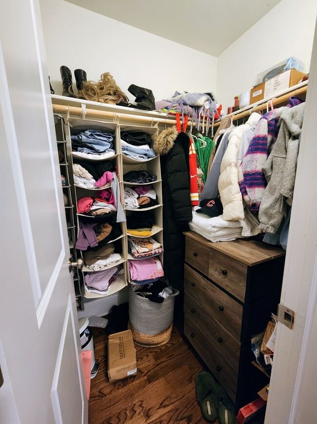 Building Photo - Luxury 4 bedroom duplex in East Lakeview