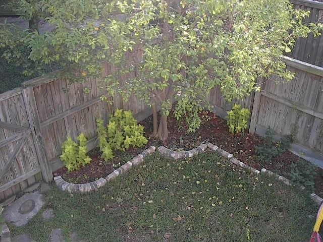 Building Photo - 2912 Country Pl Cir