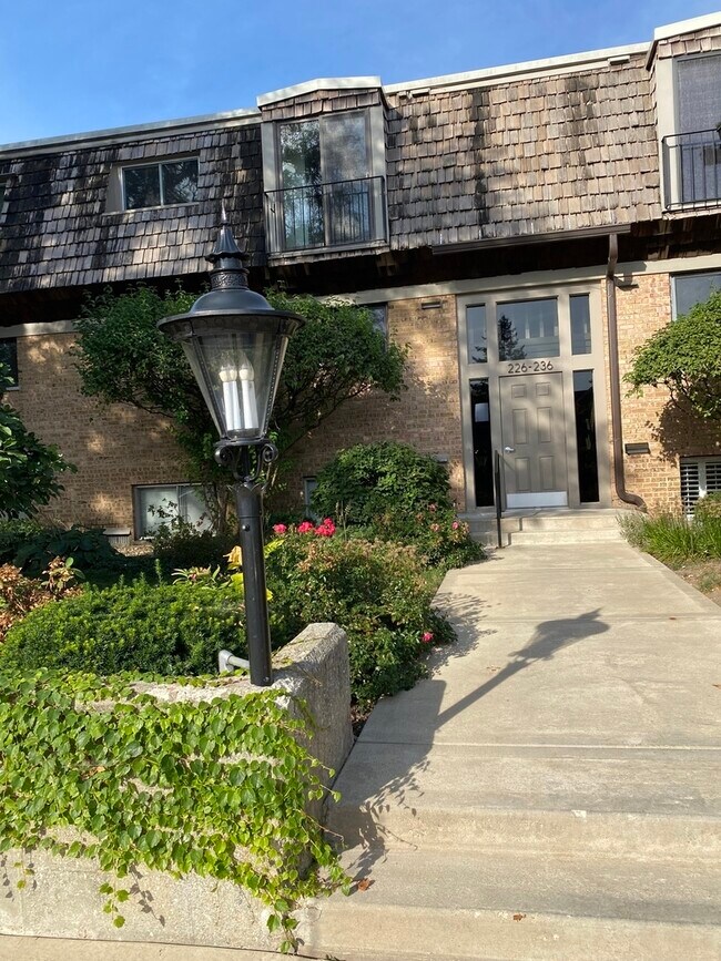Building Photo - 230 Kenston Ct