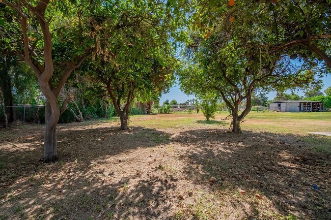 Building Photo - Acreage Property for Rent!!