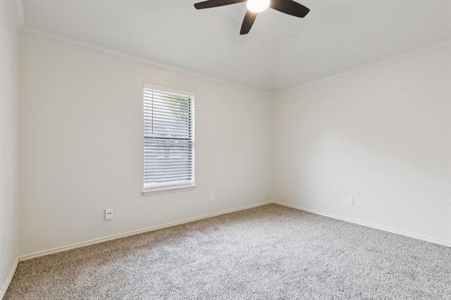 Building Photo - 1534 Haven Pl