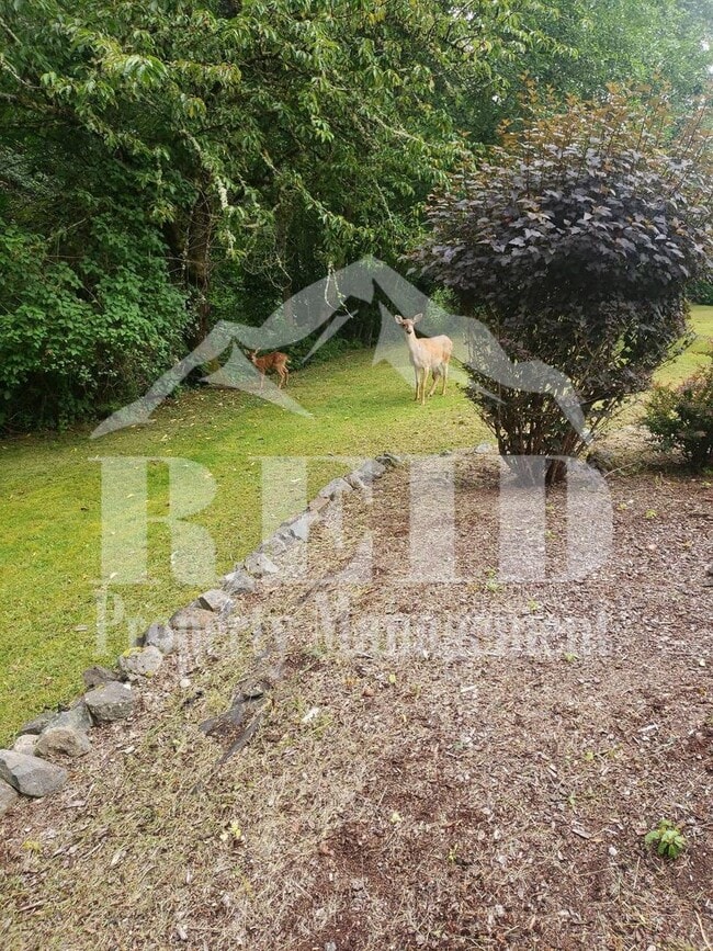 Building Photo - Central Kitsap Rambler 3 Bed 1.5 Bath 2 car garage