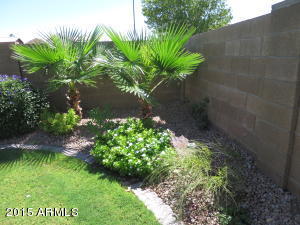 Flowring Trees and Bushes border the yard - 9139 W Davis Rd