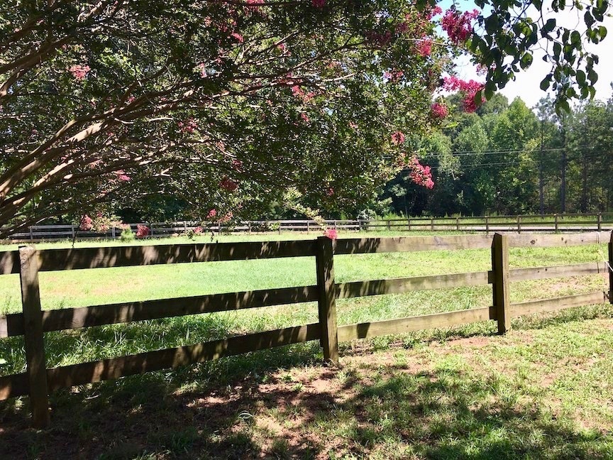 Building Photo - 932 Solen Williams Rd