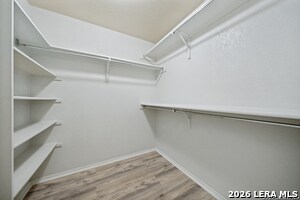 Building Photo - 3851 Bacall Way