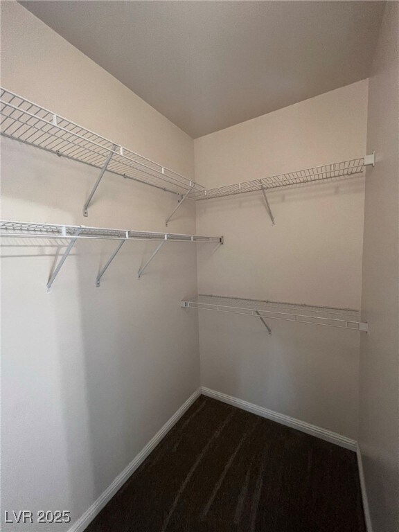 Building Photo - 2975 Bluegrass Ln