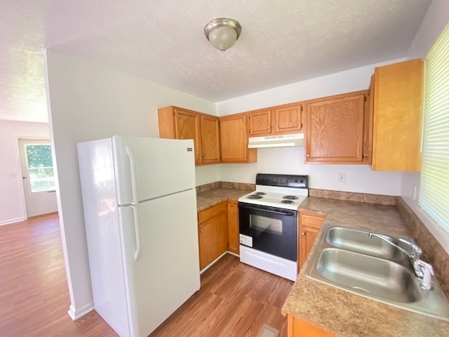 Building Photo - 284 Tiny Rd