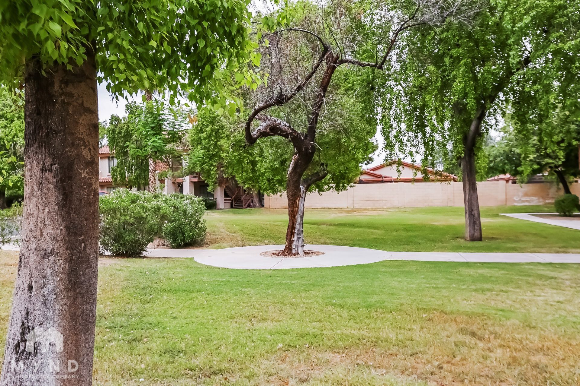 Building Photo - 4545 N 67th Ave