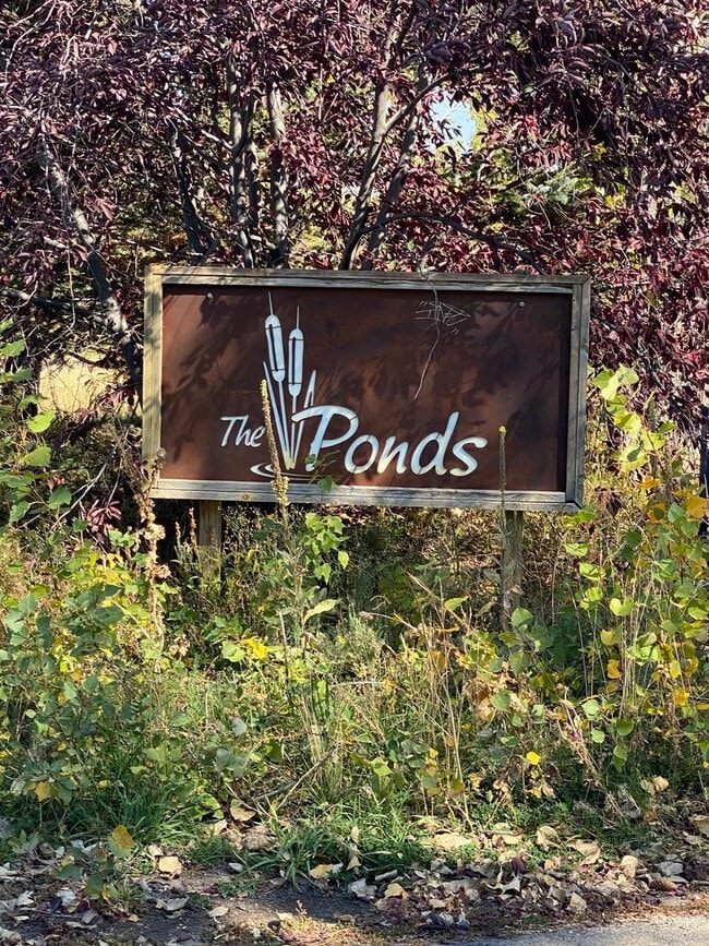 Building Photo - Ponds Condo 1 bedroom