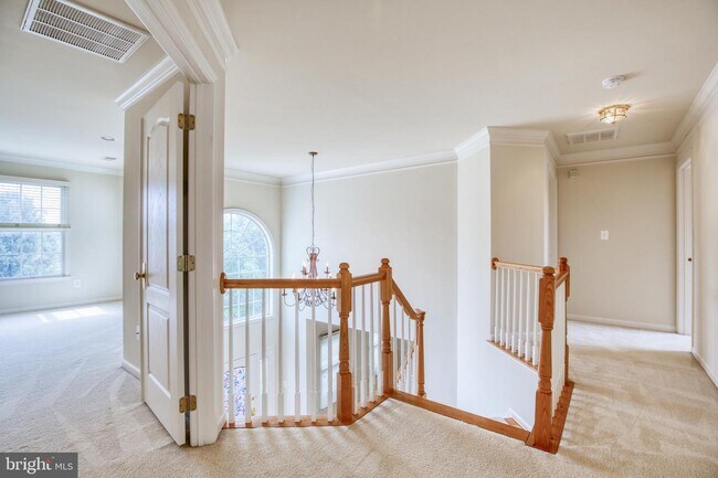 Building Photo - 1001 Meadow Ct